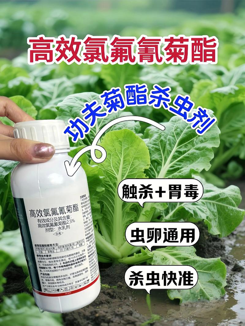 晋城代生中心:农药对供卵代生妈妈的危害